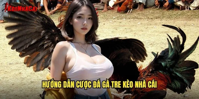 Đá Gà Tre Dân Dã - Truyền Thống Tại Kèo Nhà Cái 2 Hướng Dẫn Cược Đá Gà Tre Kèo Nhà Cái