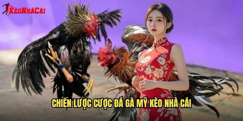 Đá Gà Mỹ Chuyên Nghiệp - Sân Chơi Kèo Nhà Cái 2 Chiến Lược Cược Đá Gà Mỹ Kèo Nhà Cái
