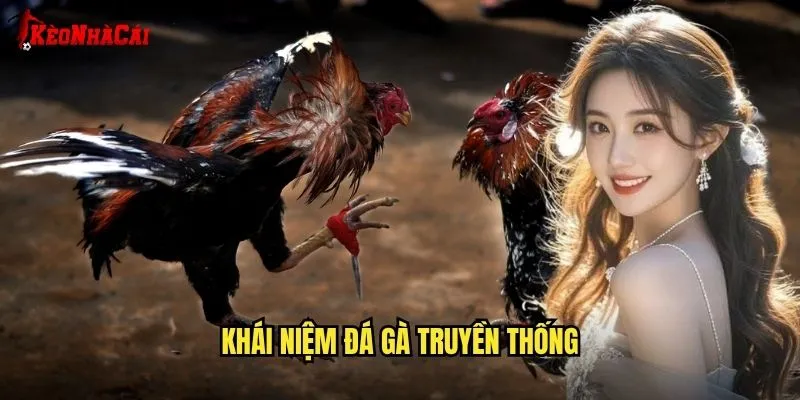 Đá Gà Truyền Thống Việt Nam - Bản Sắc Tại Kèo Nhà Cái 1 Khái Niệm Đá Gà Truyền Thống