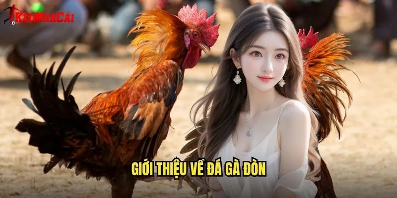 Đá Gà Đòn Mạnh Mẽ - Chiến Thuật Kèo Nhà Cái 1 Giới Thiệu Về Đá Gà Đòn