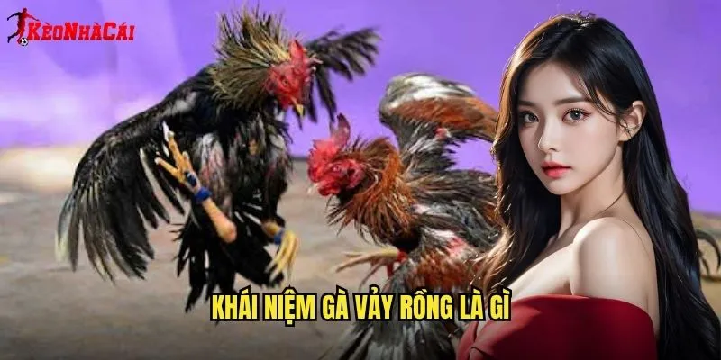 Khái Niệm Gà Vảy Rồng Là Gì
