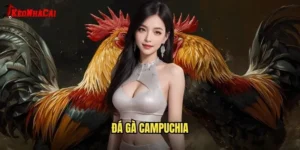 Đá Gà Campuchia