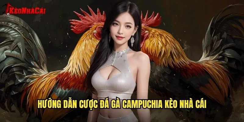 Hướng Dẫn Cược Đá Gà Campuchia Kèo Nhà Cái