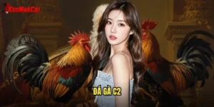 đá gà c2
