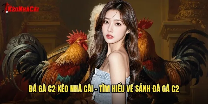 Đá Gà C2 Kèo Nhà Cái - Phân Tích Tỷ Lệ Cược Đá Gà Chuyên Sâu 1 Đá gà c2 kèo nhà cái - Tìm hiểu về sảnh đá gà c2