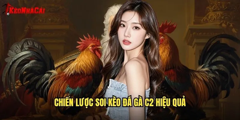 Đá Gà C2 Kèo Nhà Cái - Phân Tích Tỷ Lệ Cược Đá Gà Chuyên Sâu 2 Chiến lược soi kèo đá gà c2 hiệu quả