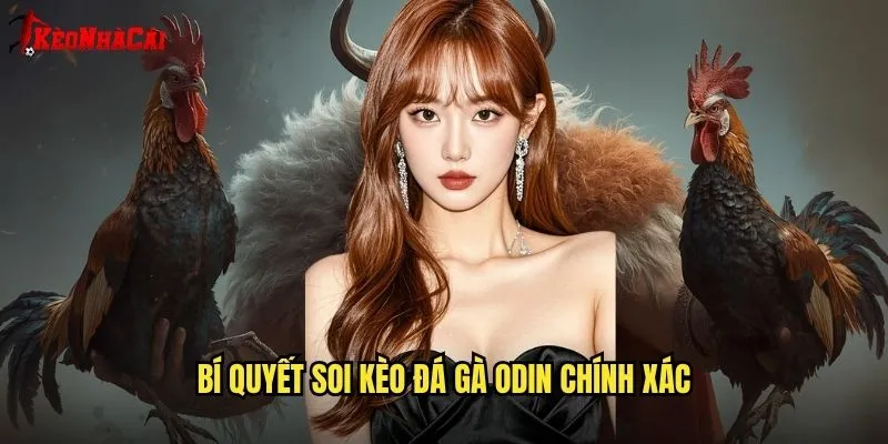 Đá Gà Odin Kèo Nhà Cái - Soi Kèo Sảnh Đá Gà Odin Uy Tín 2 Bí quyết soi kèo đá gà Odin chính xác