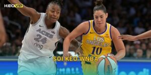 Soi Kèo WNBA – Kèo Nhà Cái Nhận Định Bóng Rổ Nữ Nhà Nghề Mỹ Đêm Nay