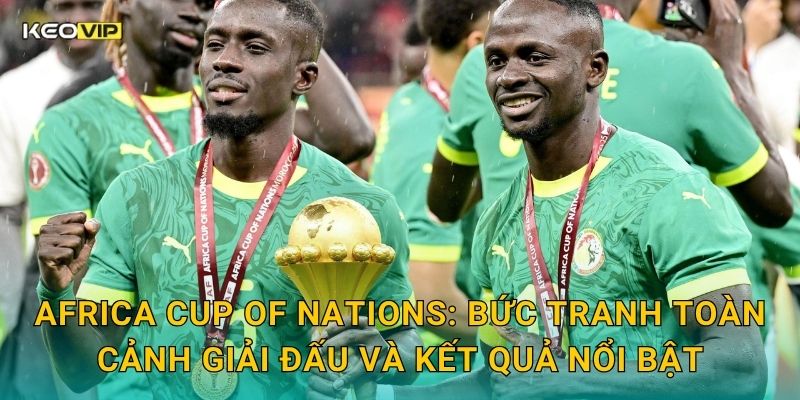 Soi Kèo Africa Cup of Nations – Kèo Nhà Cái Cập Nhật Nhận Định Bóng Đá Châu Phi Mới Nhất 1 Africa Cup of Nations: Bức tranh toàn cảnh giải đấu và kết quả nổi bật