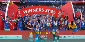 Soi Kèo FA Cup – Kèo Nhà Cái Nhận Định Cúp Quốc Gia Anh Hấp Dẫn Nhất Tuần