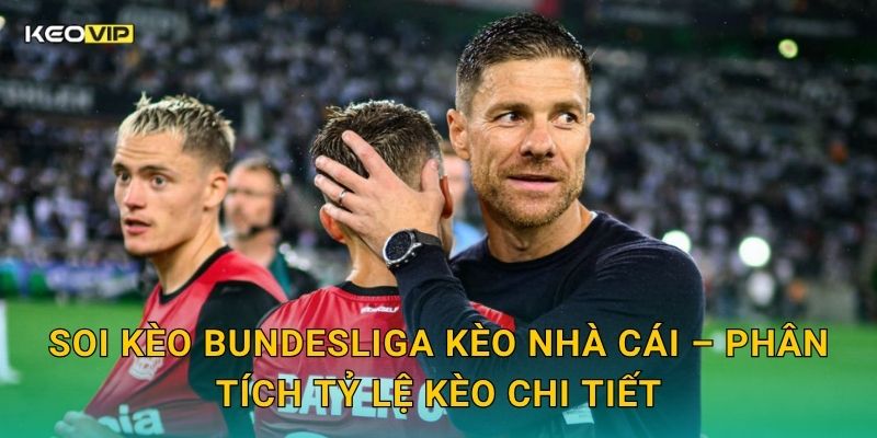 Soi kèo Bundesliga Kèo nhà cái – Phân tích tỷ lệ kèo chi tiết
